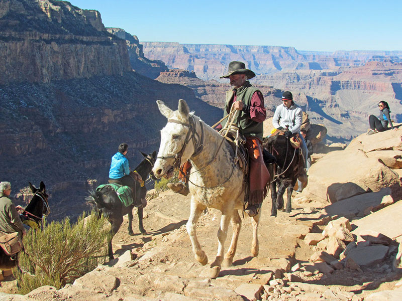 Arizona-003-large