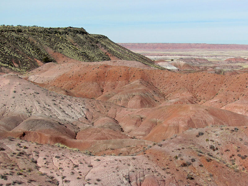Arizona-006-large