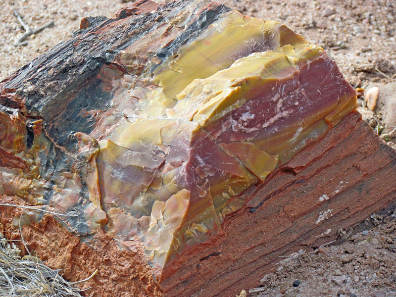 Arizona-008-large