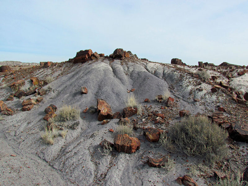 Arizona-009-large