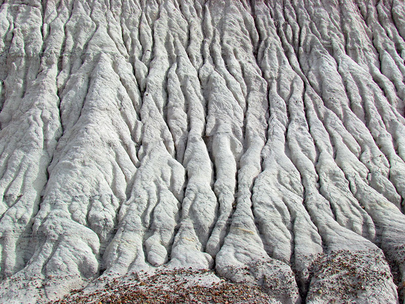 Arizona-010-large