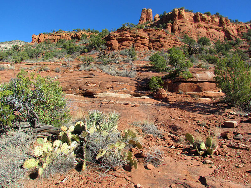 Arizona-012-large
