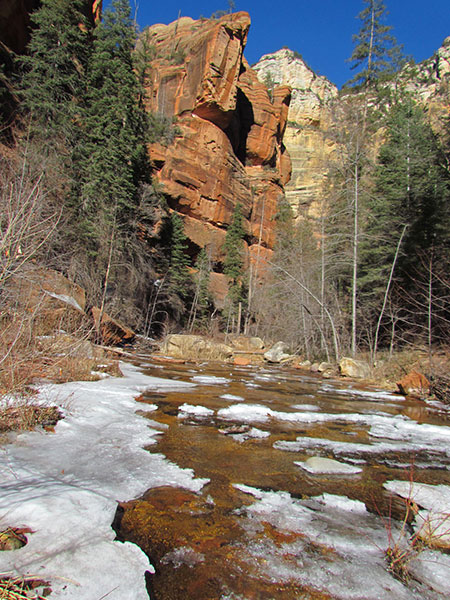 Arizona-014-large