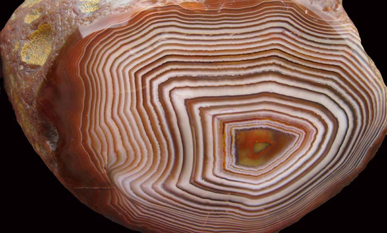 Candystripe-agate-big