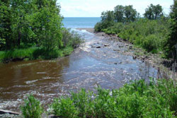 MN-River