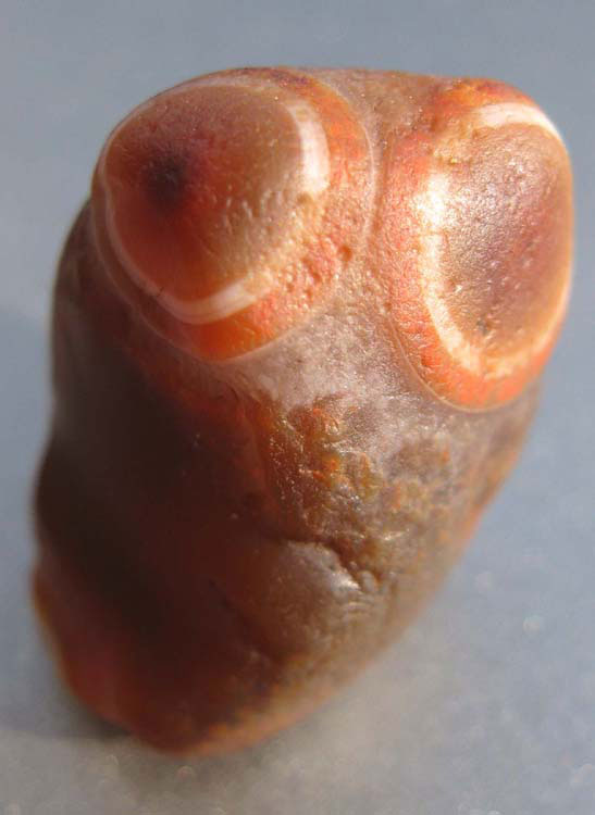 Owl-Agate