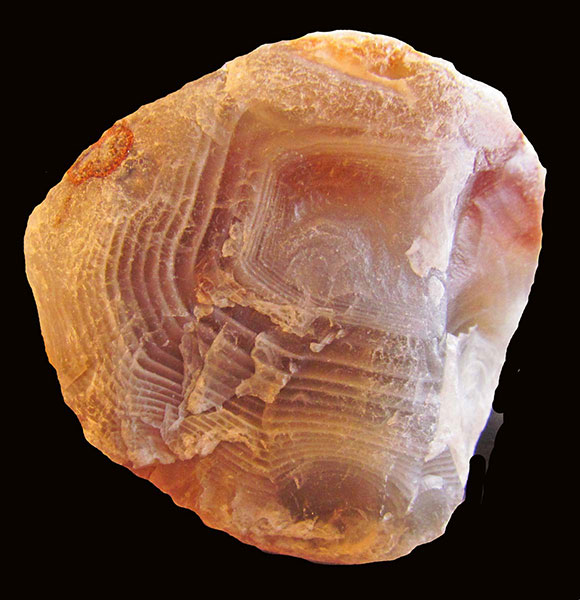 Patty-O-agate-large