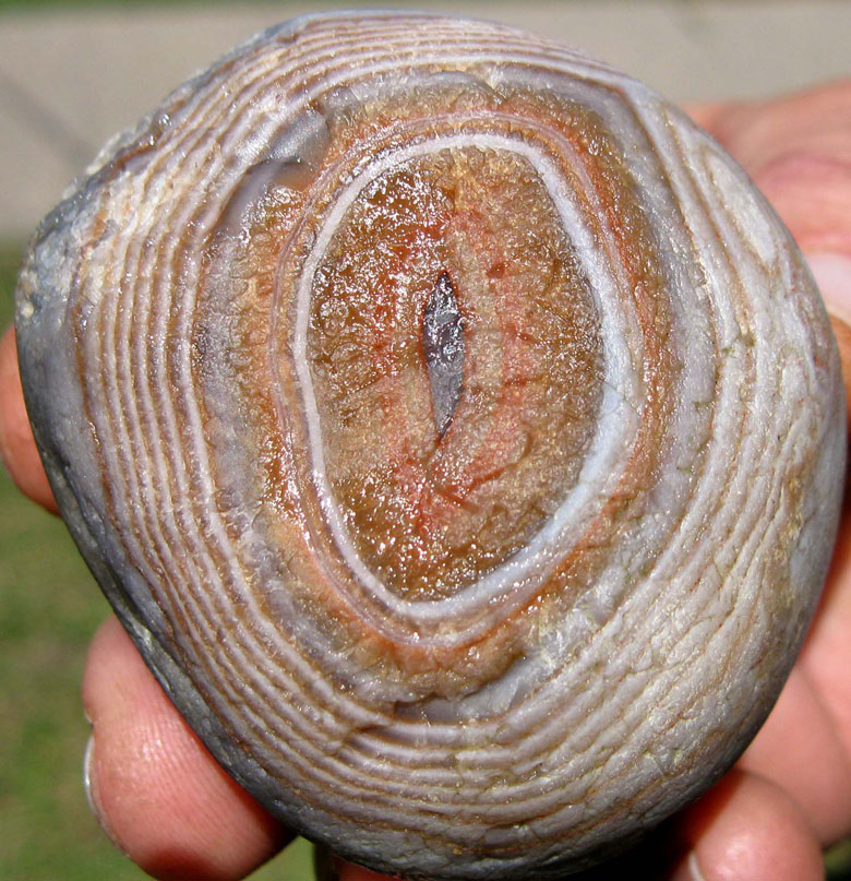 Robbins-agate-2-big