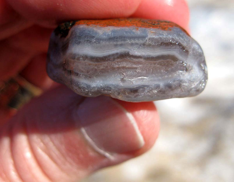 Sue-agate-large