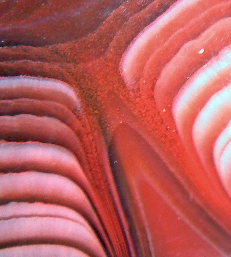 agate-005-big