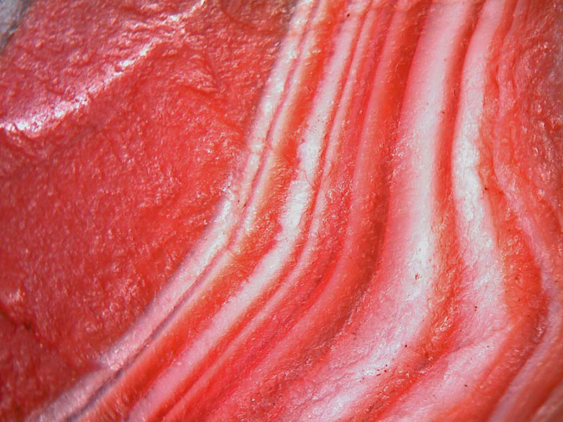 agate-008-big
