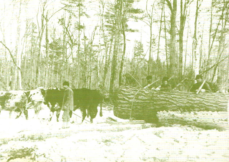 logging-postcard-3-big
