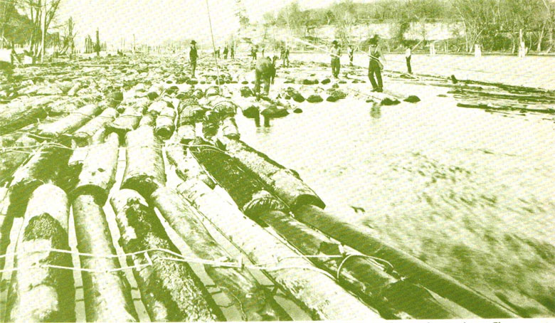logging-postcard-4-big