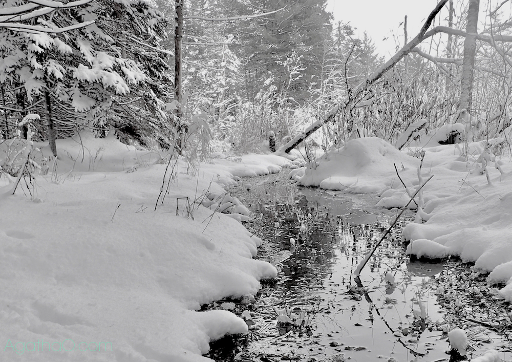 Tranquil snow landscape art photography and greeting card by AgathaO.com