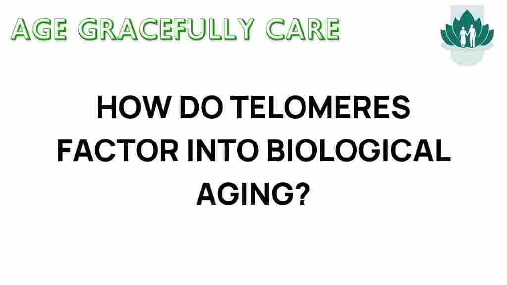 Unlocking the secrets of telomeres: the key to biological aging?