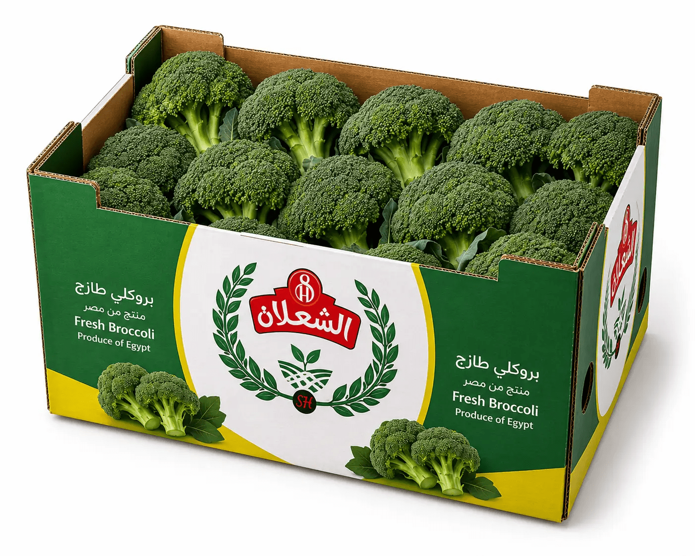 Deep green Egyptian broccoli — tight florets. Fresh and IQF frozen.