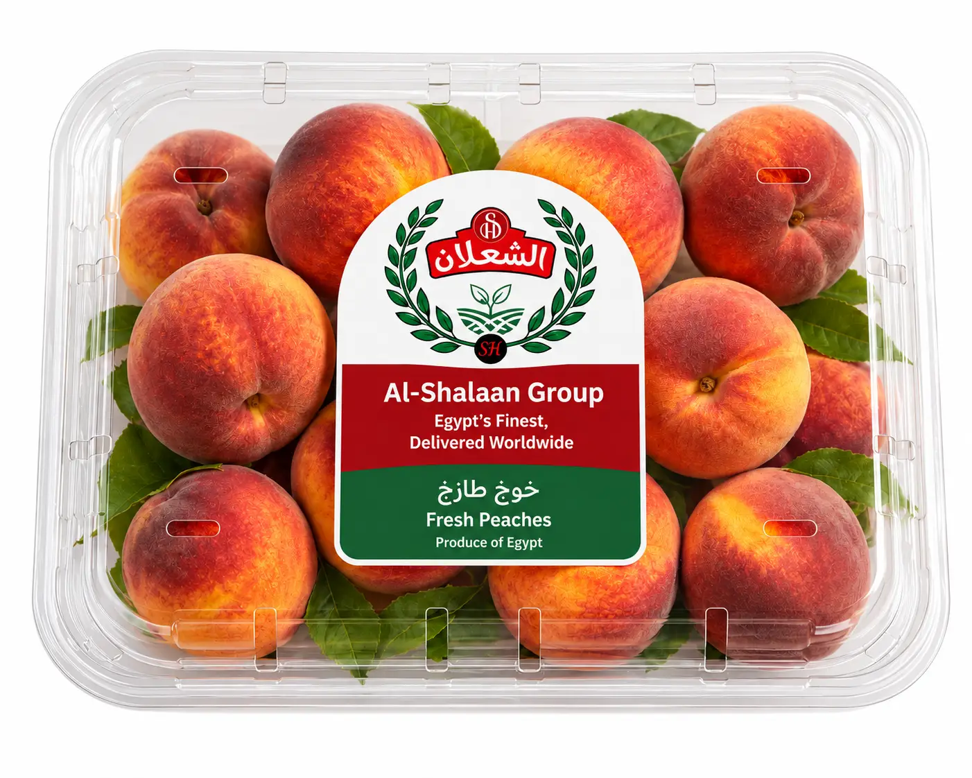 Export-grade fresh Egyptian peaches, hand-picked and graded to international standards. Sweet, aromatic and firm, packed to your specification for wholesale and retail programs. Contact us for a quotation and current availability.