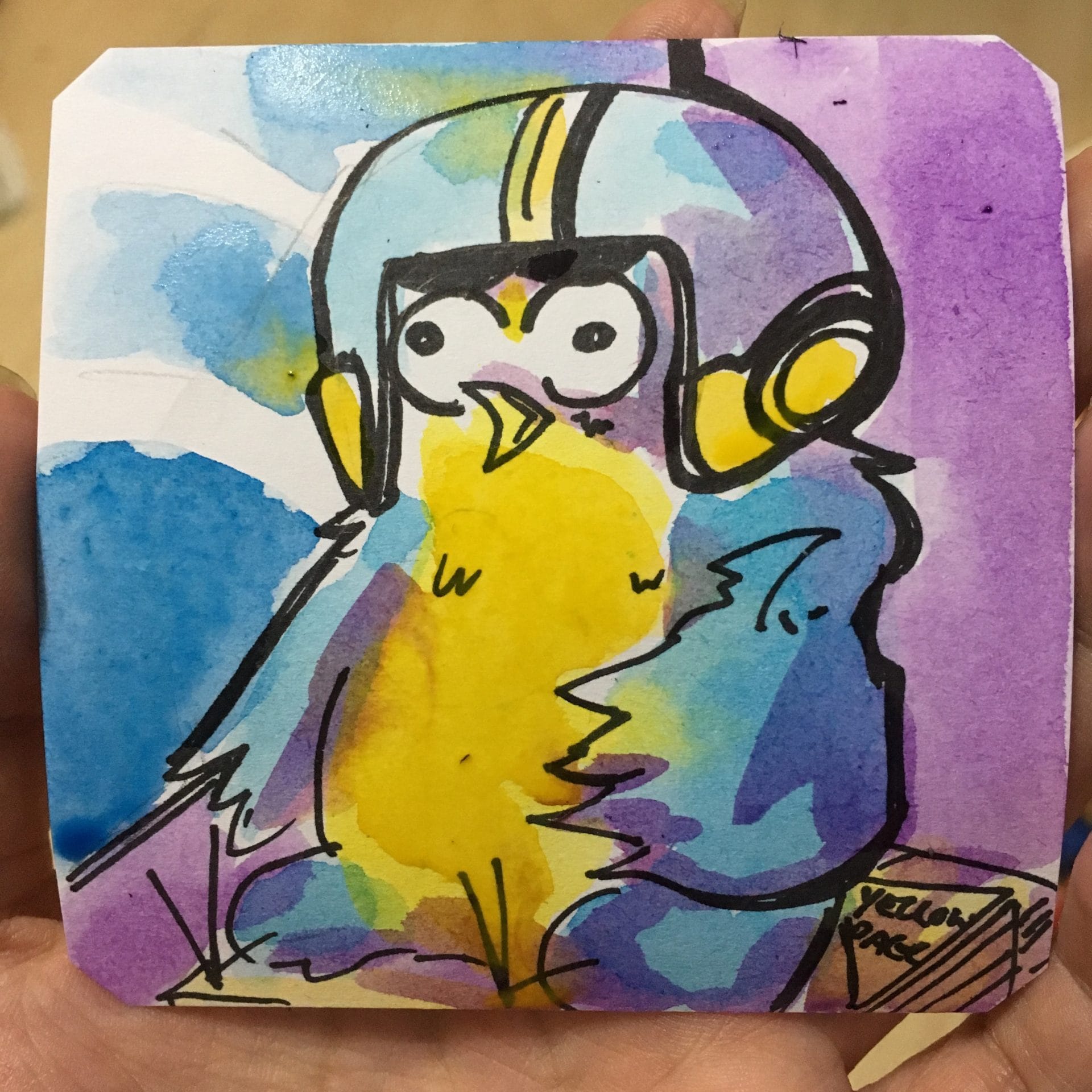 UN Squawk-dren Area 88 @Macaw45