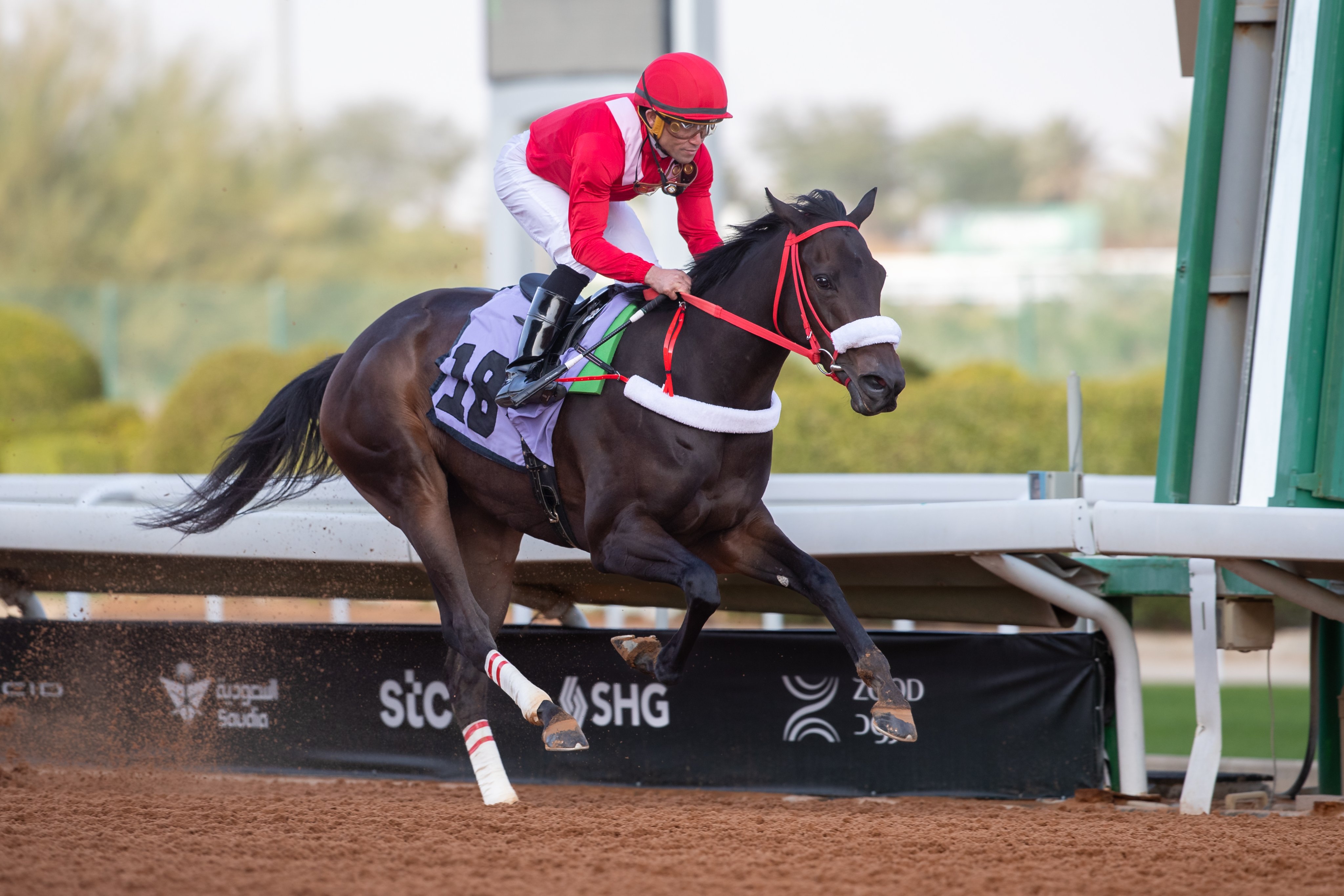 Joel Rosario shines in Riyadh: three wins from seven mounts at King Abdulaziz