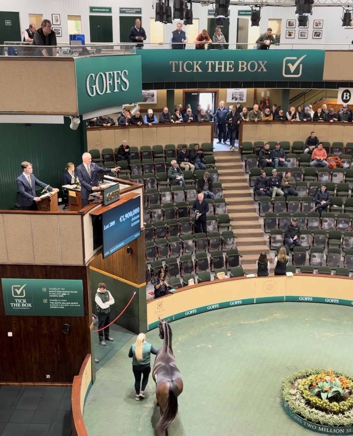 Inside the Goffs February Sale: Bloodlines, Value and Pinhooking Plays
