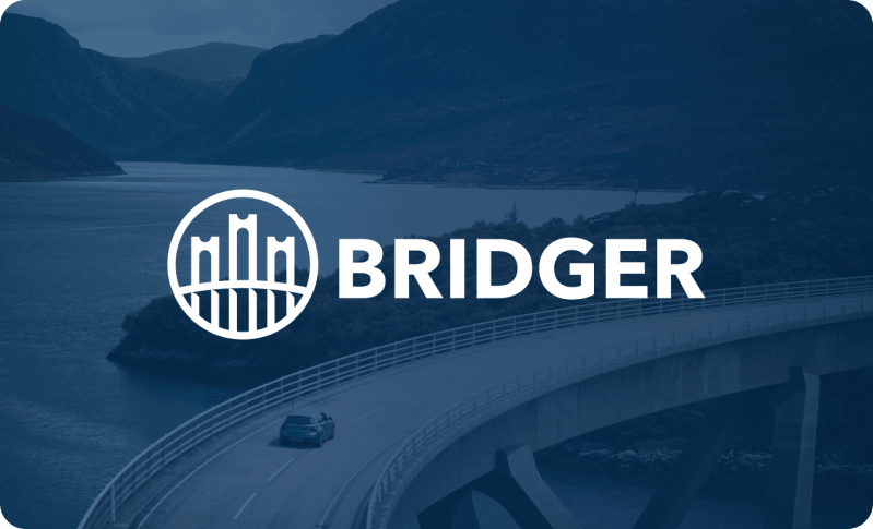 Bridger - High Quality Abstract Illustration - 8K