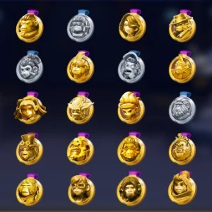 Fighter Medals