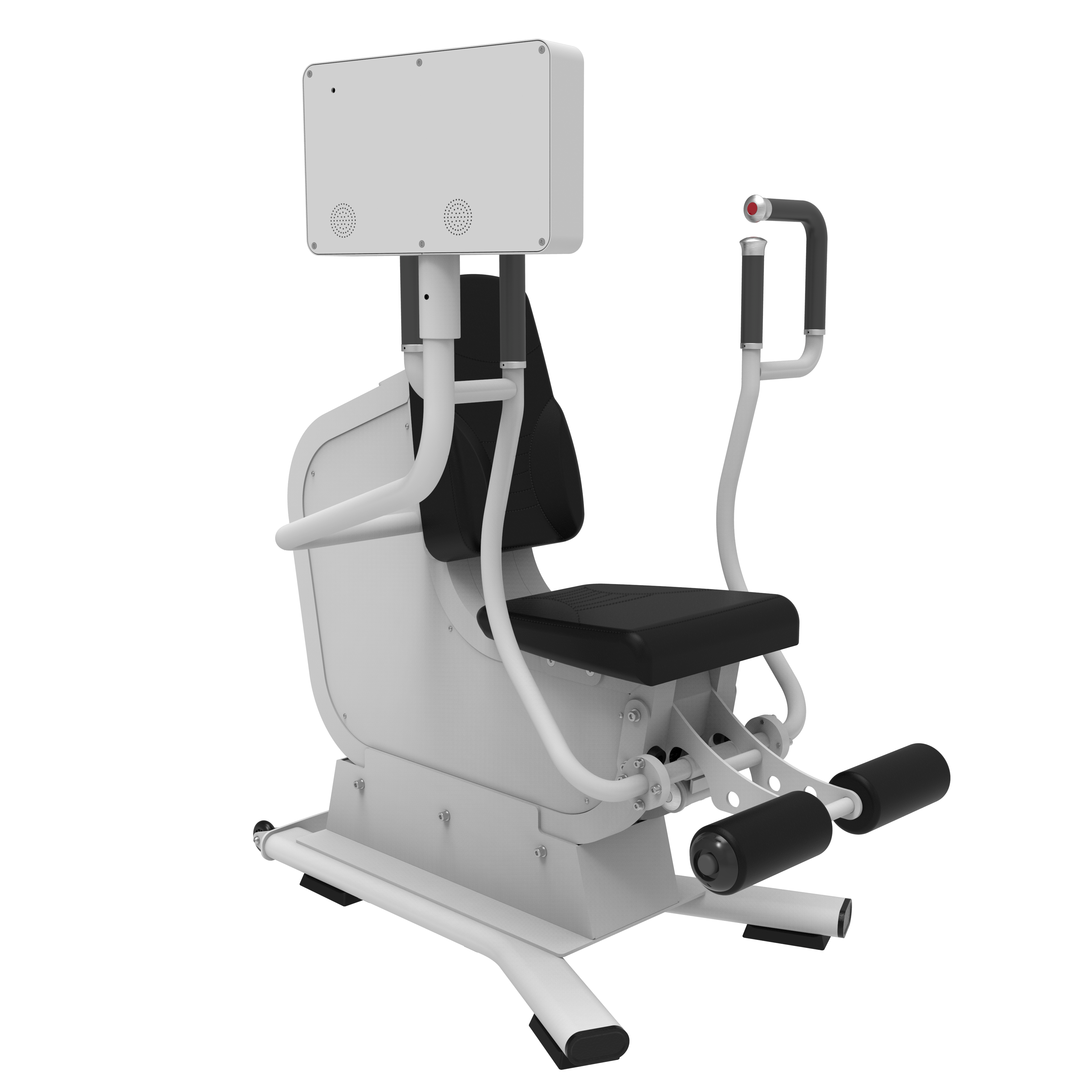FH01 - Chest Press & Row Training Machine