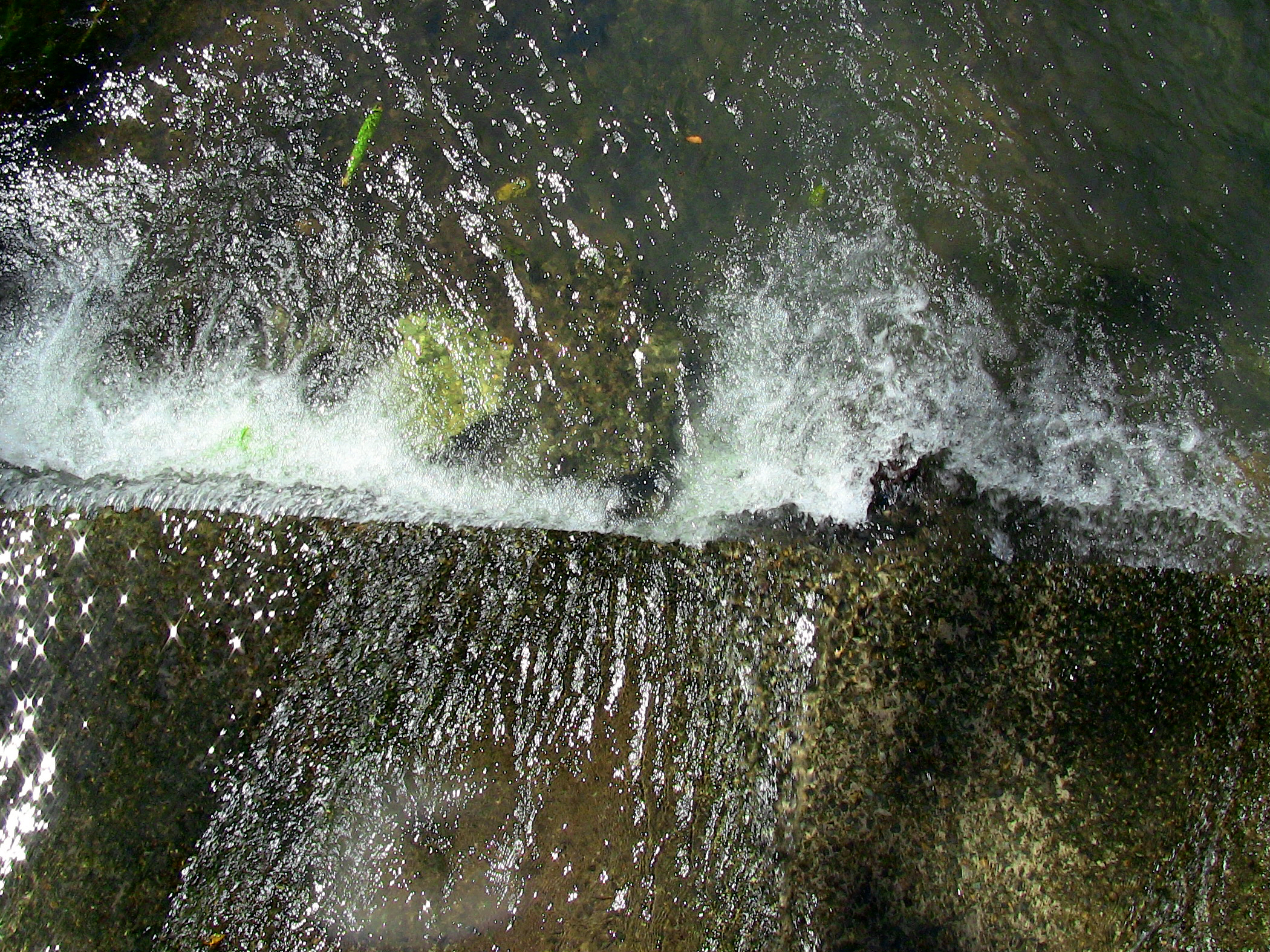 man136