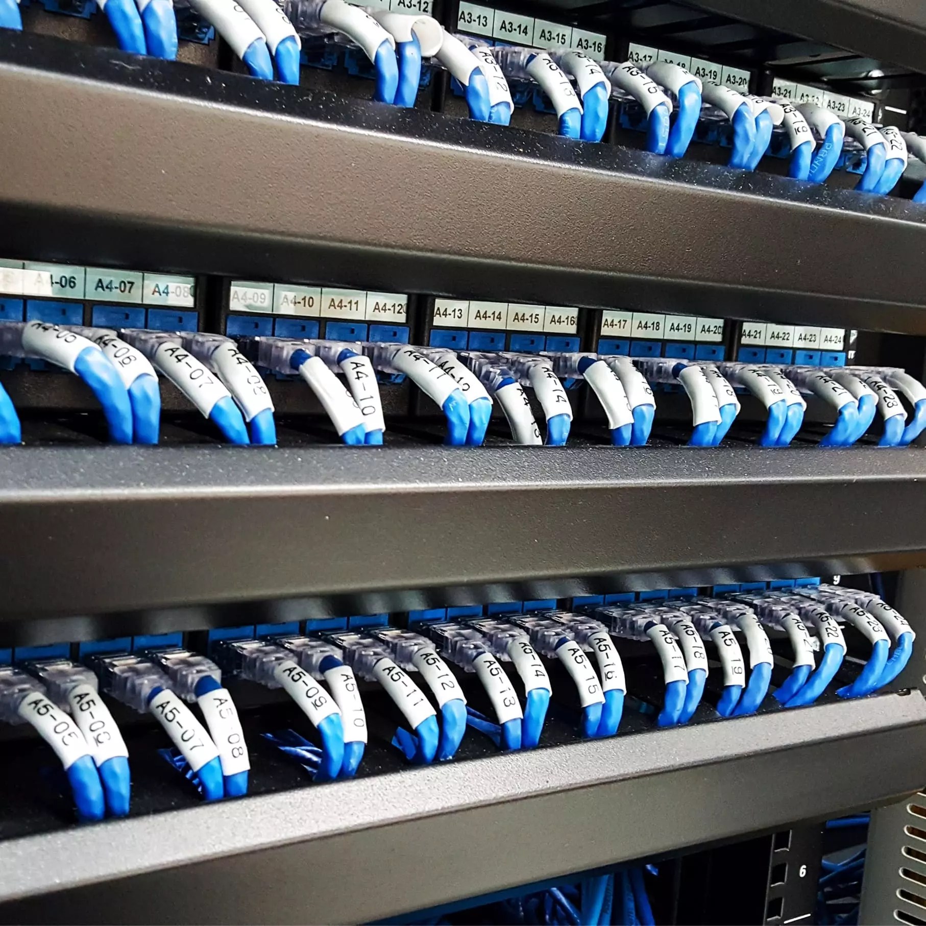 Entreprise de réseau informatique, panneau de brassage informatique avec cordons de brassage