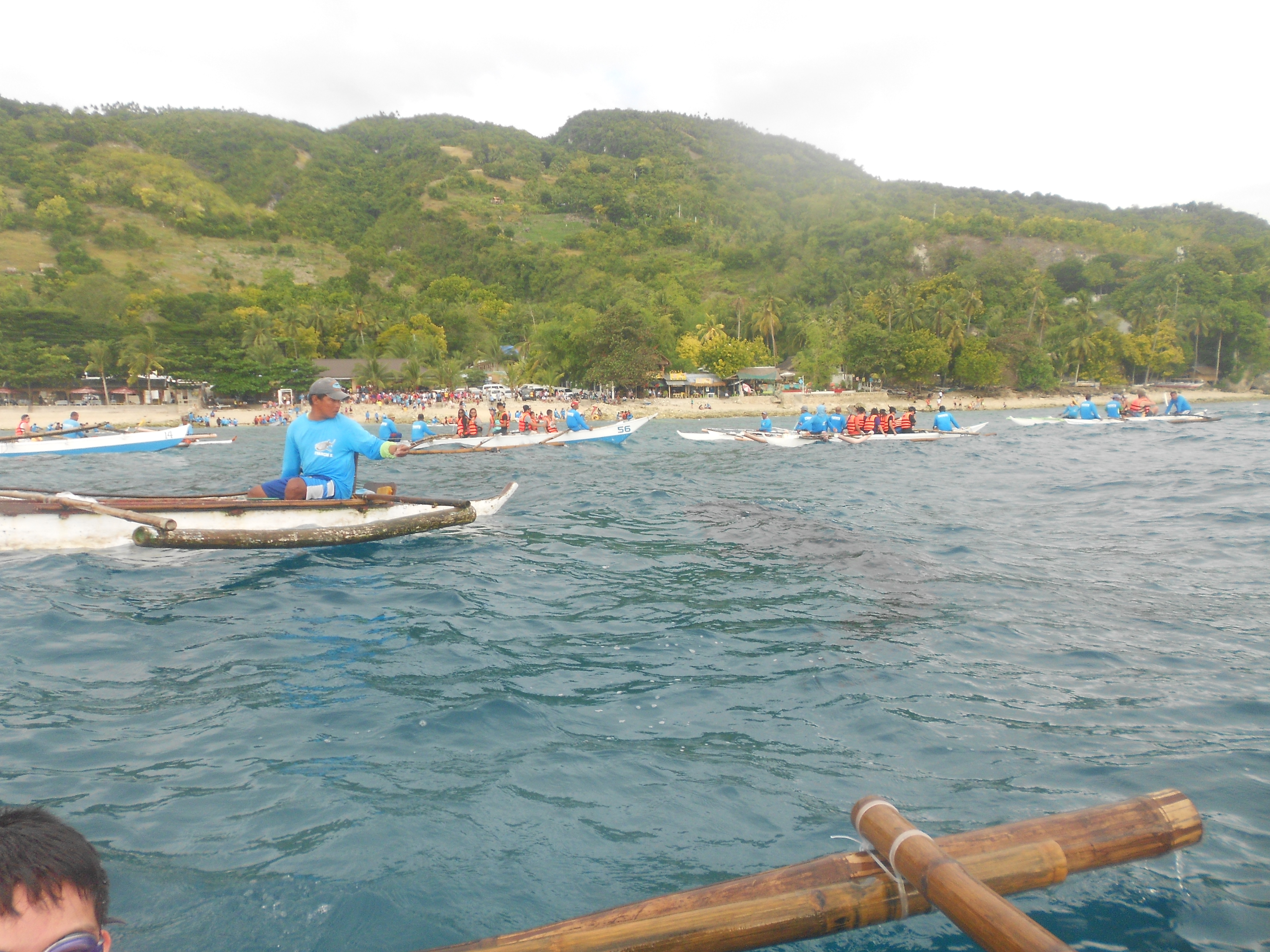 boats for whaleshark watching