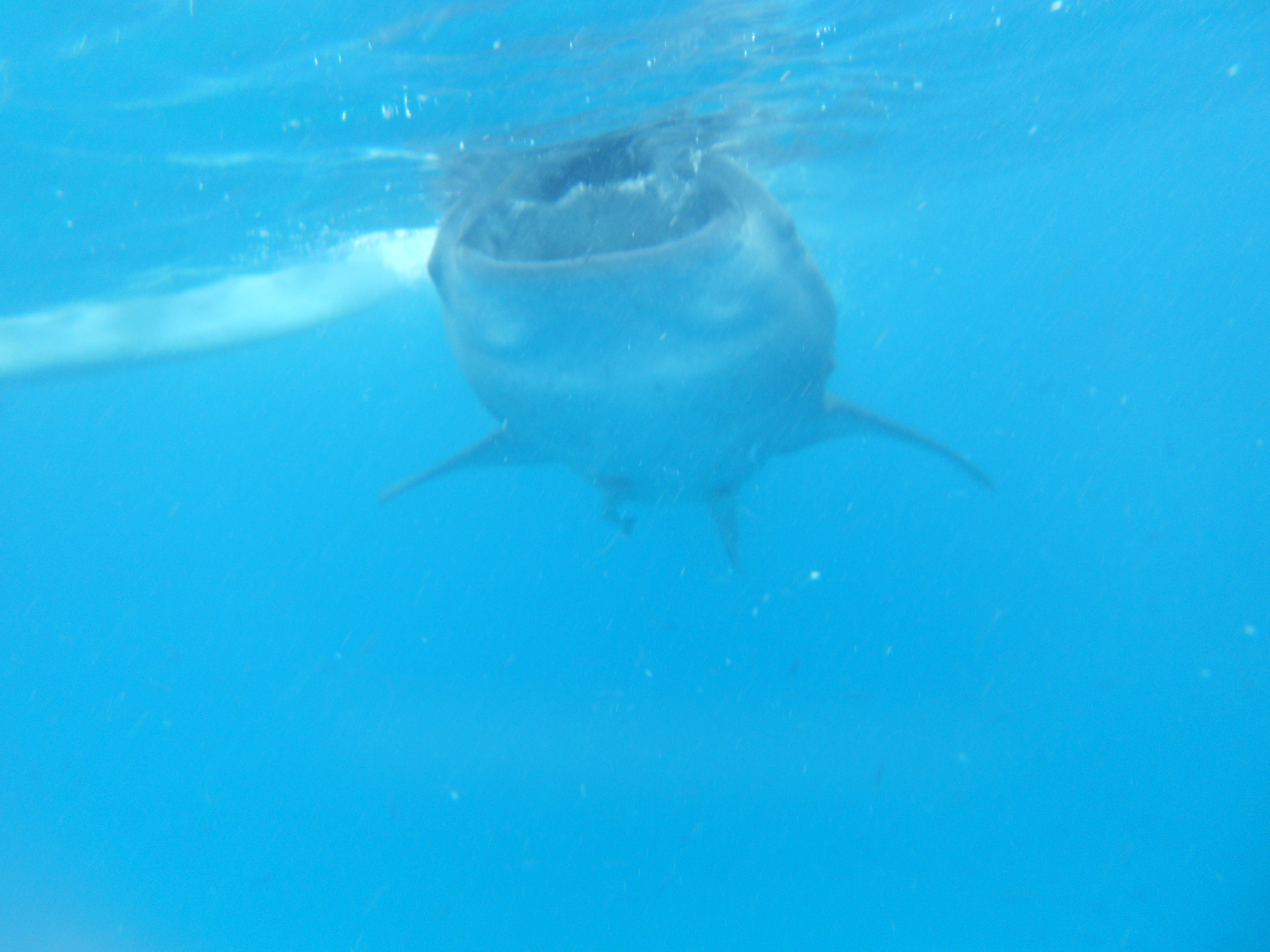 close encounter
