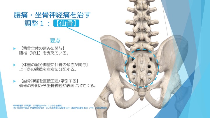 腰仙椎部神経症状 カラーでみる解剖学的背景 腰仙椎部神経症状 カラーでみる解剖学的背景