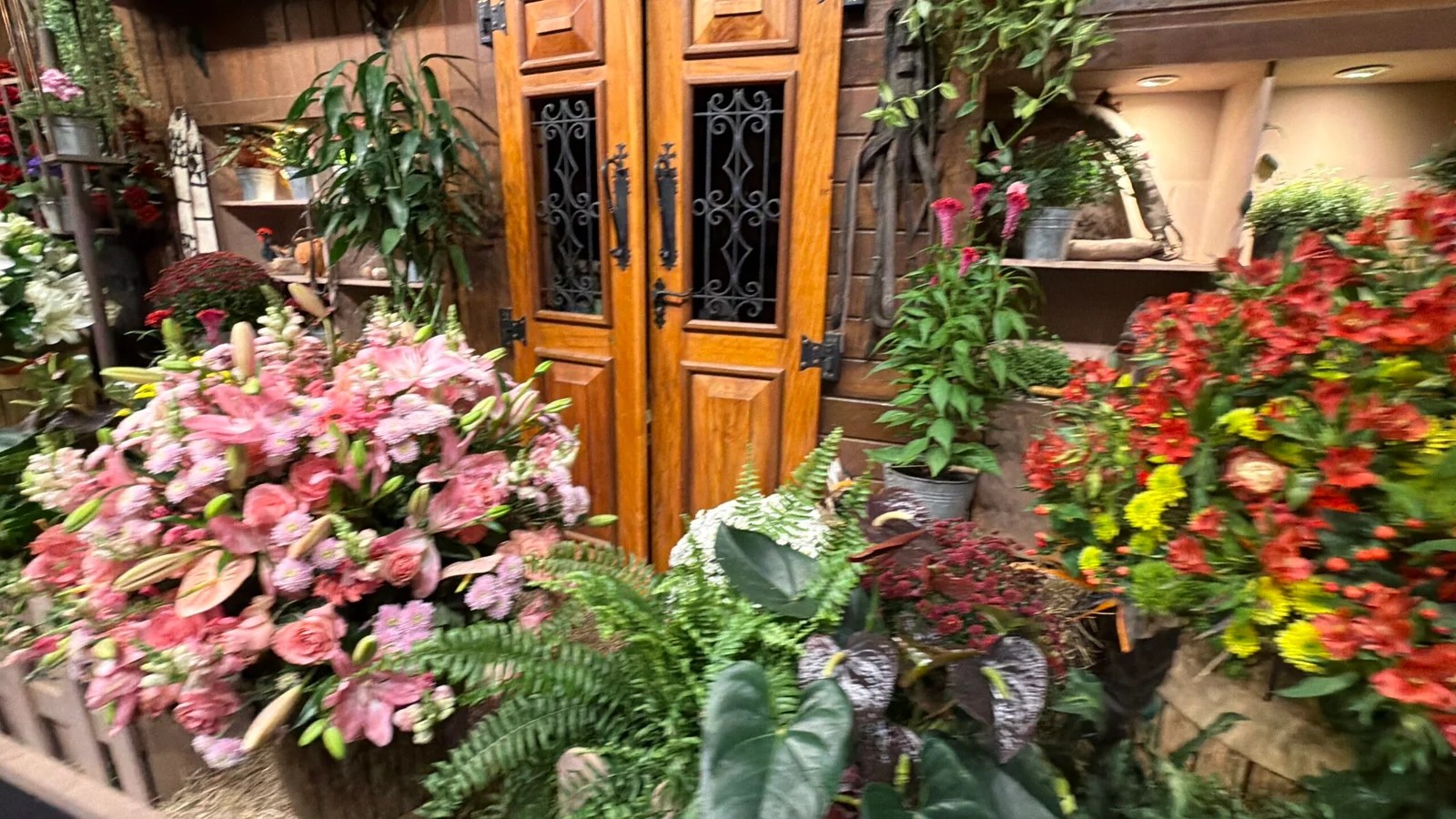 Expoflora 2026 em Holambra: preços, atrações, gastronomia e Magic Garden