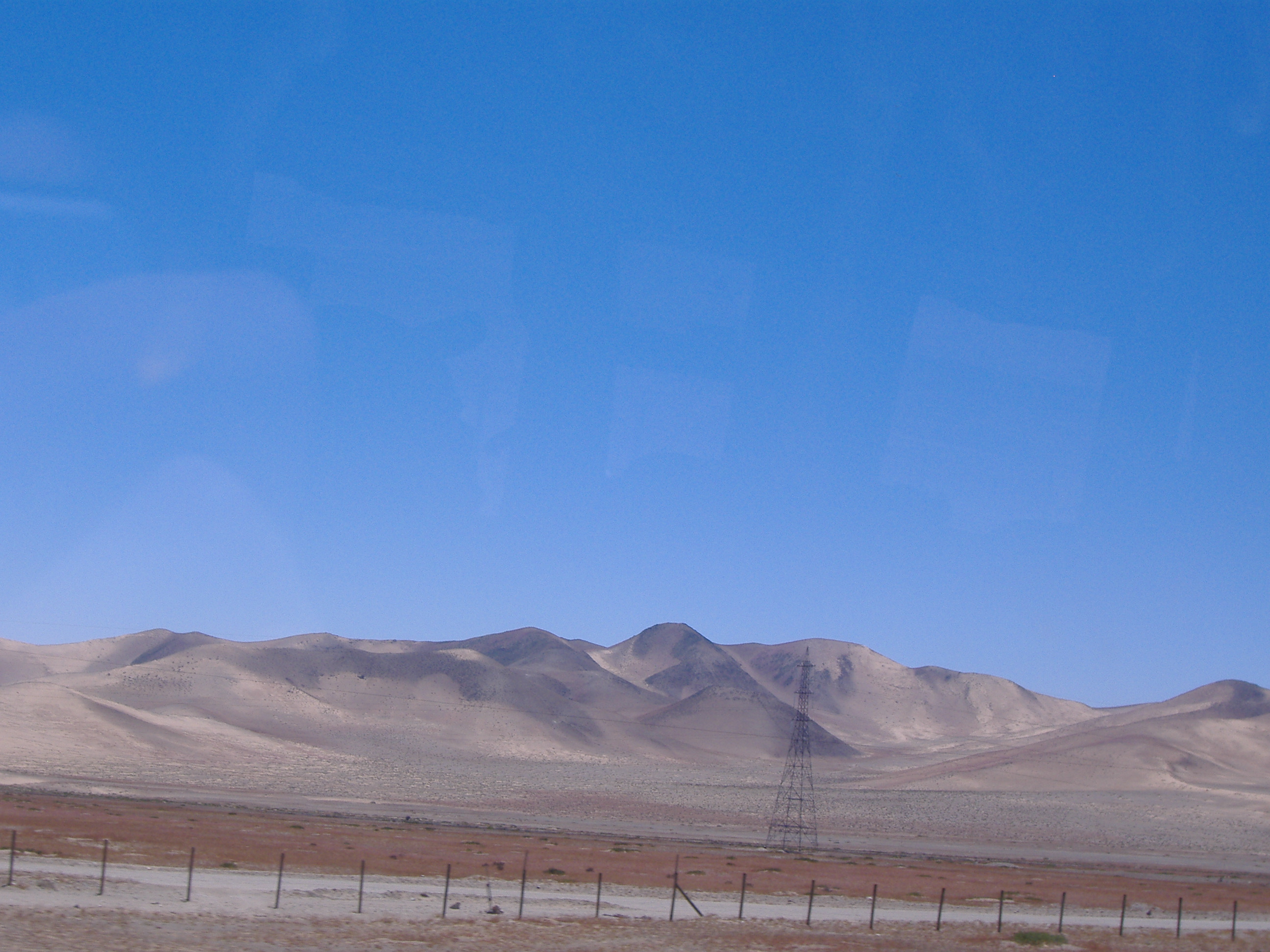 Tutti i volti di Pinocchio