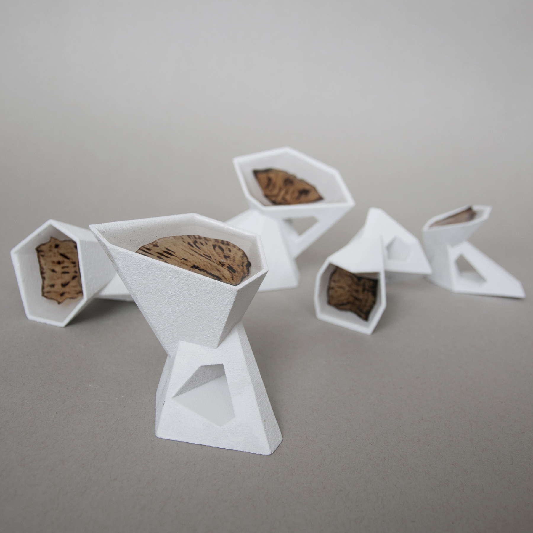 Trachemys scripta: Carapace & Plastron Scutes