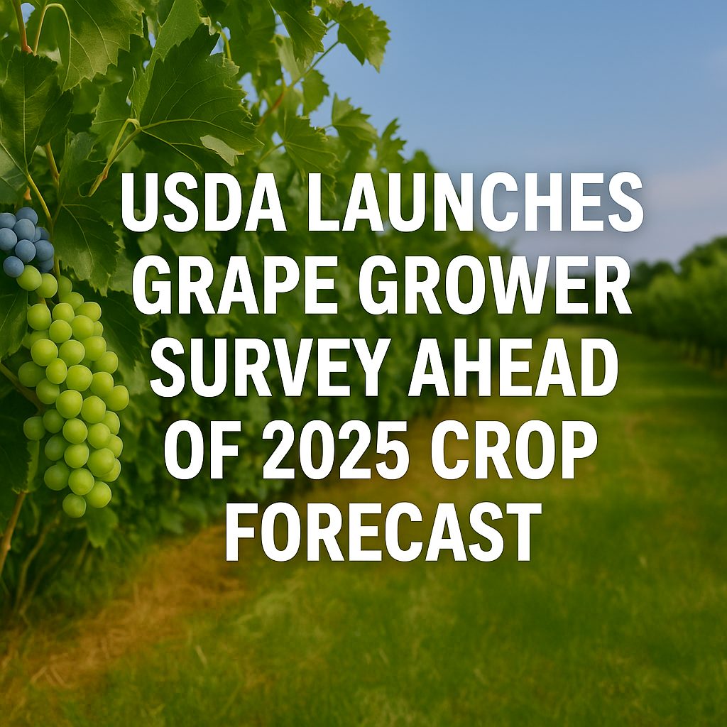 grape production
