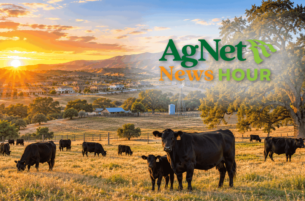 Featured image for “California Cattlemen’s President Says Loss of Grazing Land Threatens Beef Industry’s Future”