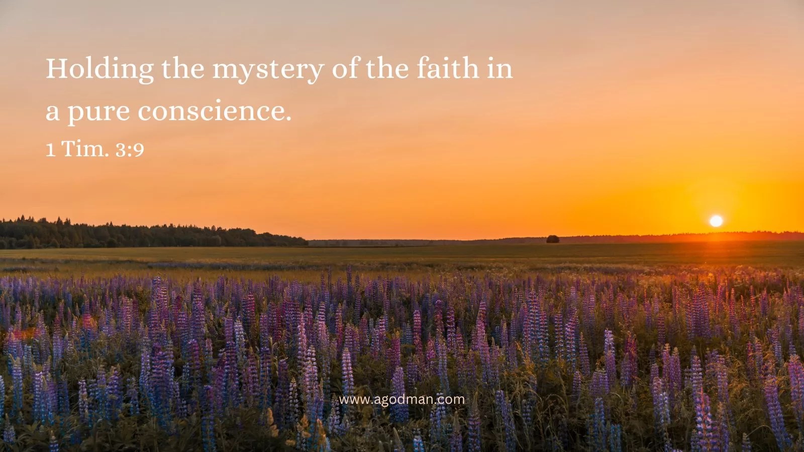 Holding the mystery of the faith in a pure conscience. 1 Tim. 3:9