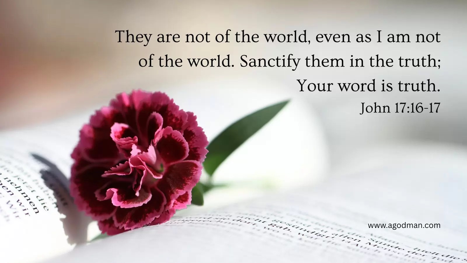 They are not of the world, even as I am not of the world. Sanctify them in the truth; Your word is truth. John 17:16-17