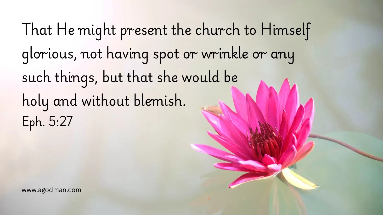 That He might present the church to Himself glorious, not having spot or wrinkle or any such things, but that she would be holy and without blemish. Eph. 5:27