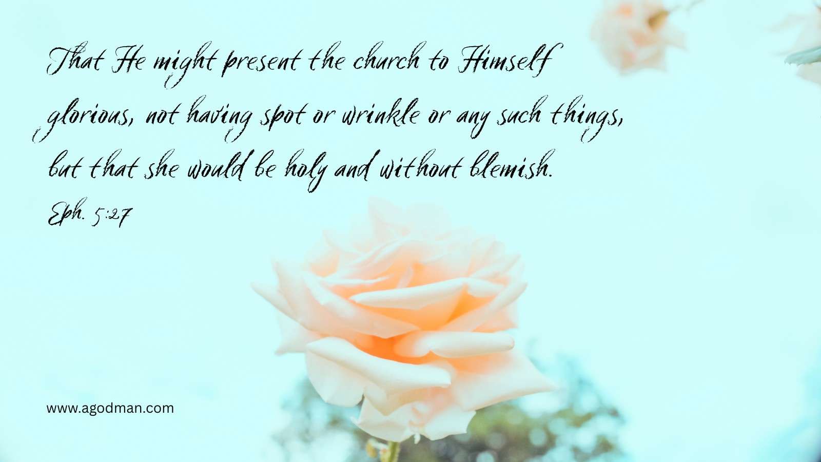 That He might present the church to Himself glorious, not having spot or wrinkle or any such things, but that she would be holy and without blemish. Eph. 5:27