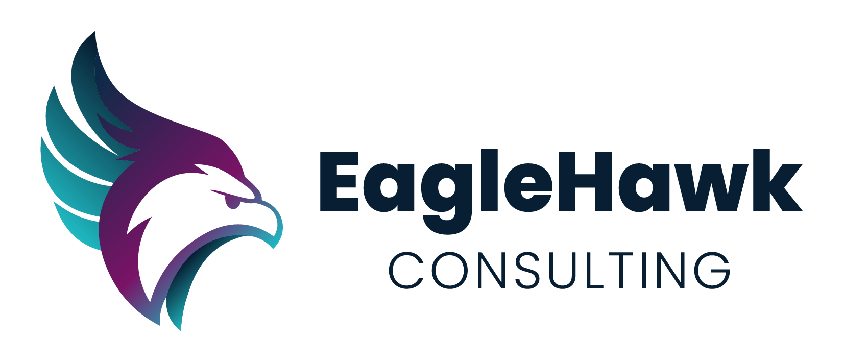 EagleHawk Consulting Final Logo with Colors and Typography