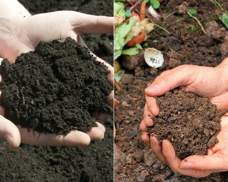 Topsoil versus compost? garden hacks