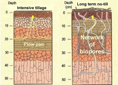 Agrivi Việt Nam-Khoa học nông nghiệp