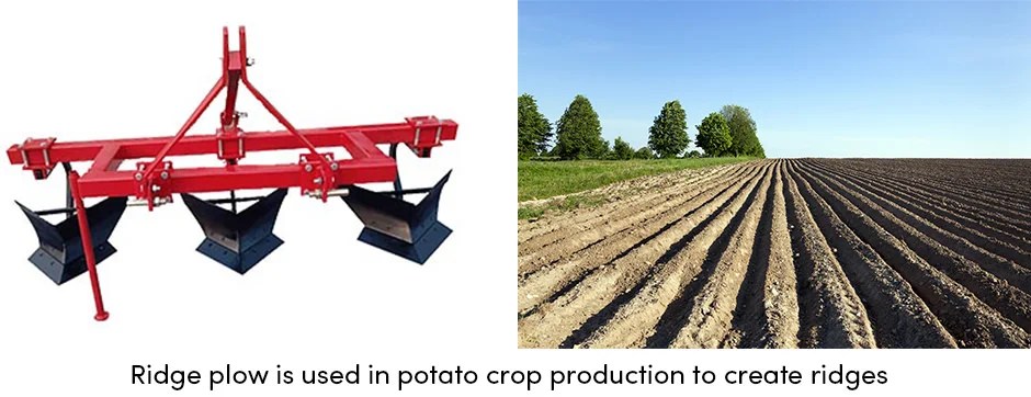 Cày – Một Trang Bị Nông Trại Phải Có