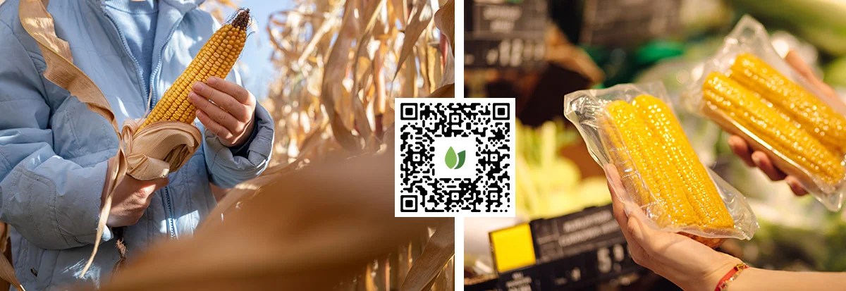 Làm sao để lấy được lòng tin của người tiêu dùng? 4 lý do chính tại sao việc truy xuất nguồn gốc lại quan trọng