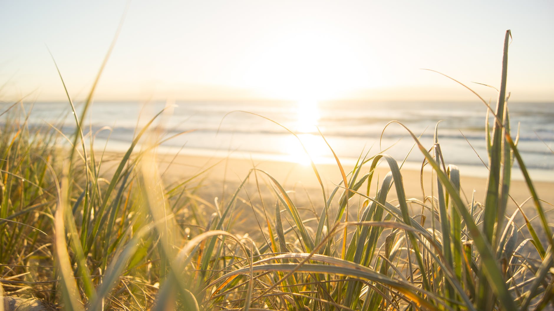 Photo by Nathan Kowley on Pexels.com