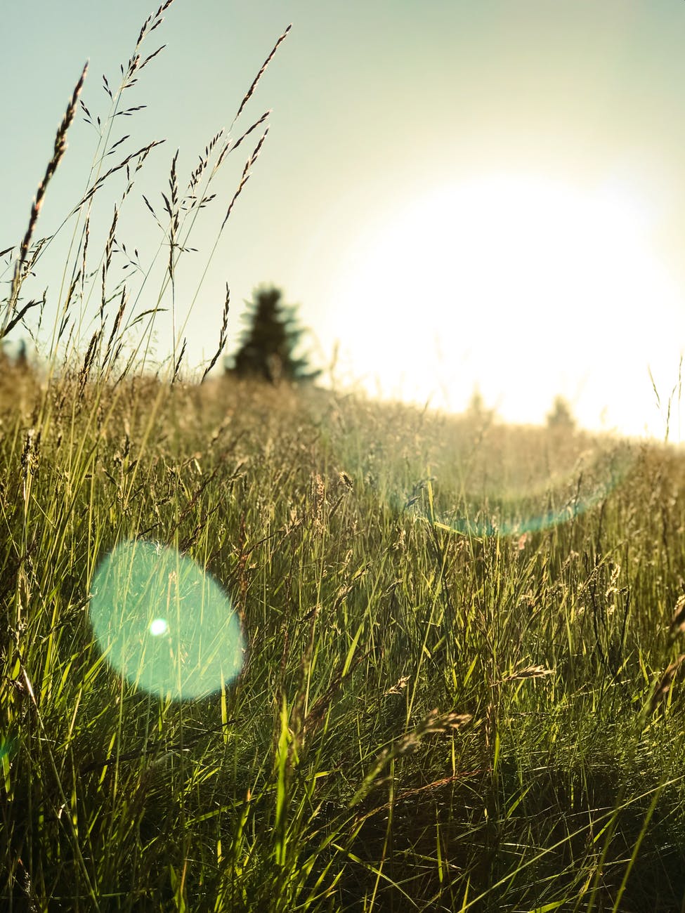 Photo by julie aagaard on Pexels.com