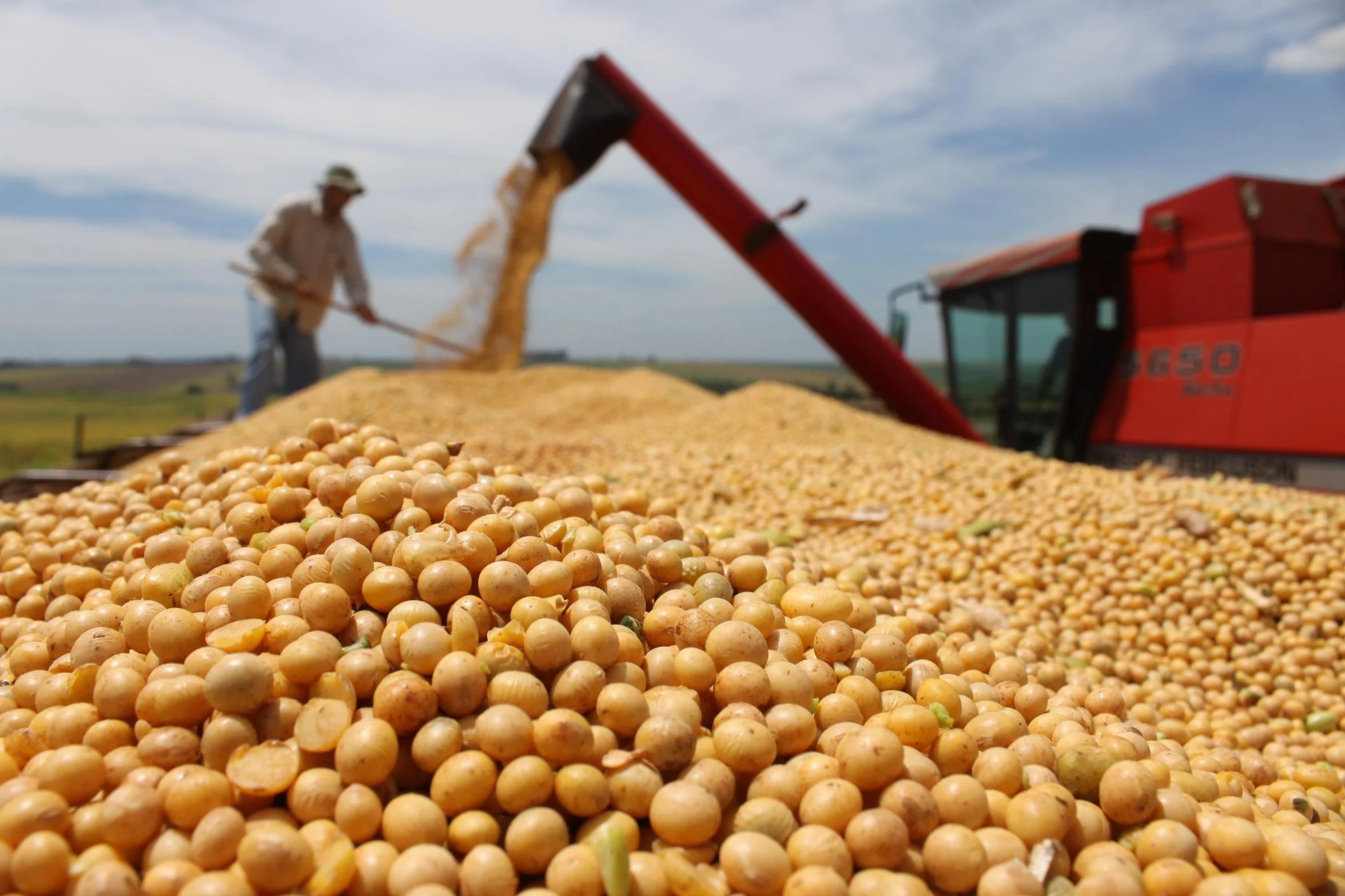 noticiaspuertosantacruz.com.ar - Imagen extraida de: https://www.perfil.com/noticias/economia/advierten-que-los-margenes-netos-de-la-soja-en-argentina-estan-practicamente-en-cero.phtml