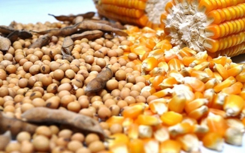 VBP da Agropecuária deve atingir R$ 1,192 trilhão em 2021